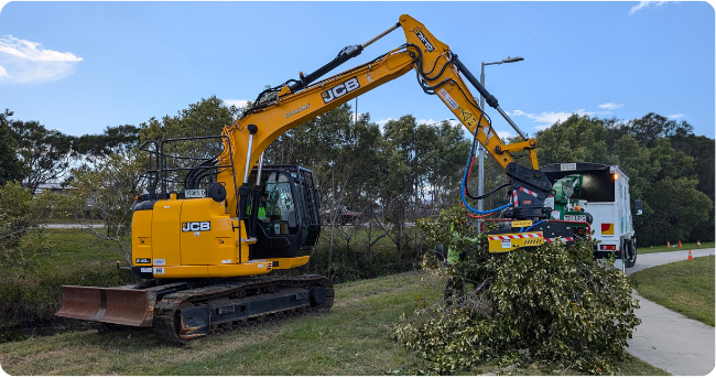 Tree Clearing in Brisbane